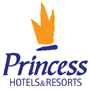 Princess logo
